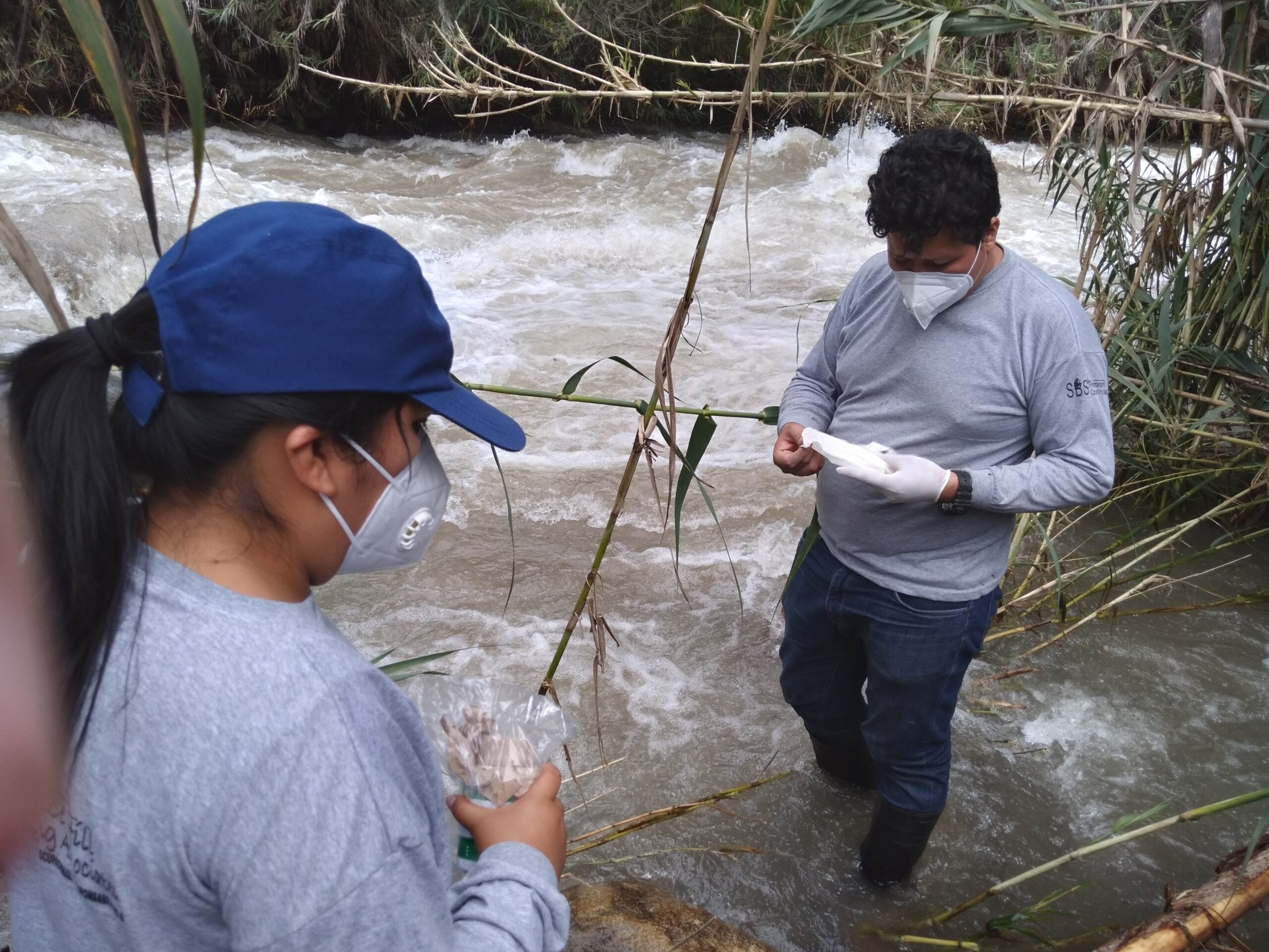 huaral4